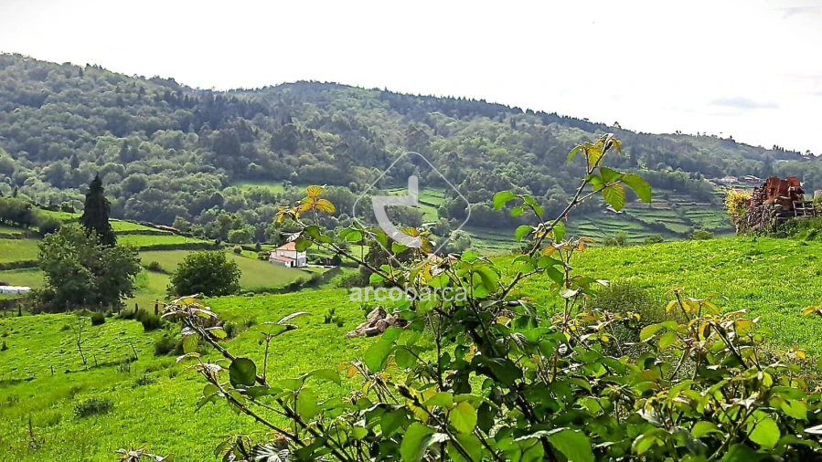 Moradia T3 para Venda em Bico e Cristelo Foto 11