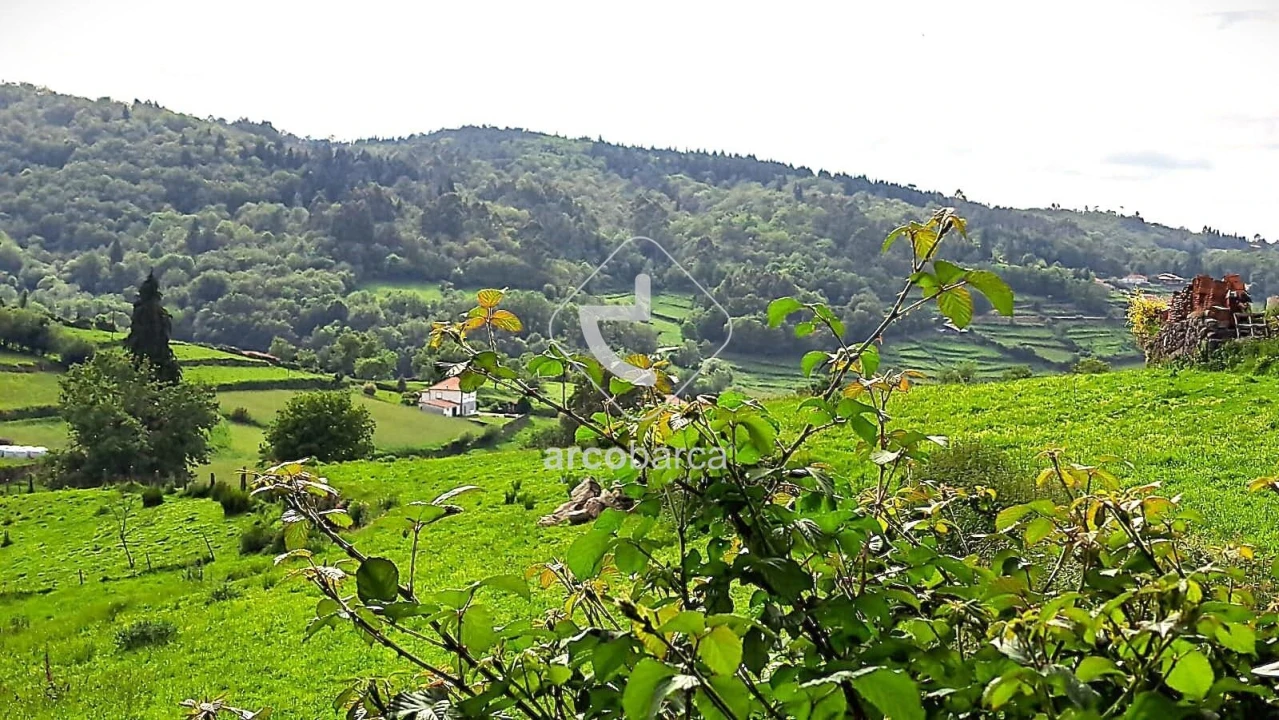 Moradia T3 para Venda em Bico e Cristelo Foto 11