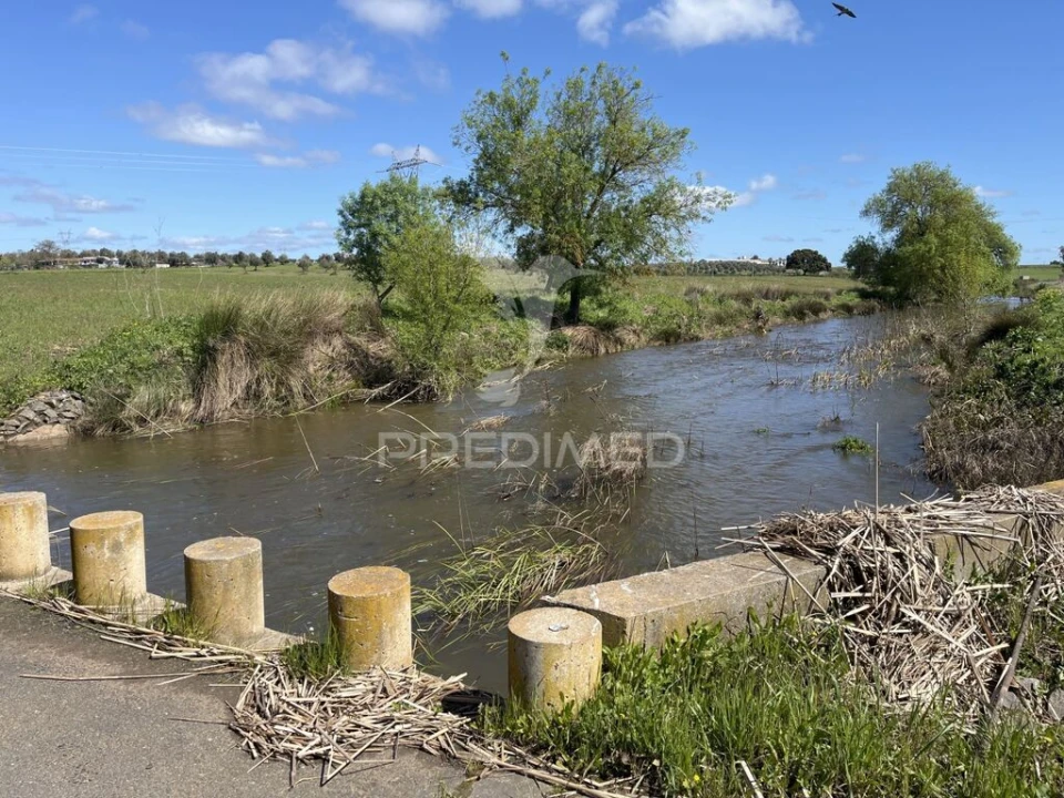 Terreno para Venda em Alfundão e Peroguarda Foto 8