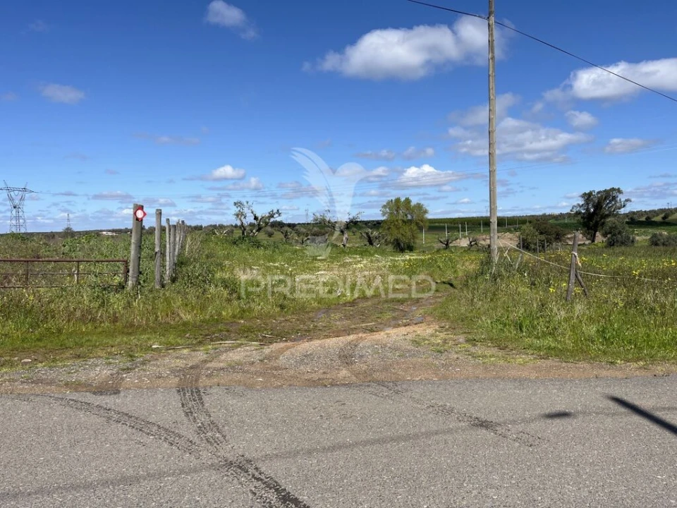 Terreno para Venda em Alfundão e Peroguarda Foto 4