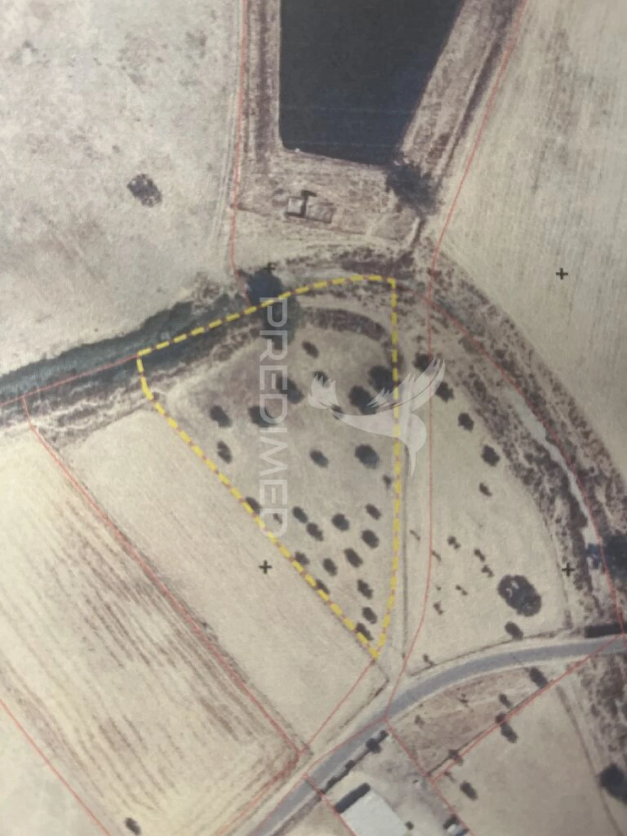 Terreno para Venda em Alfundão e Peroguarda Foto 10