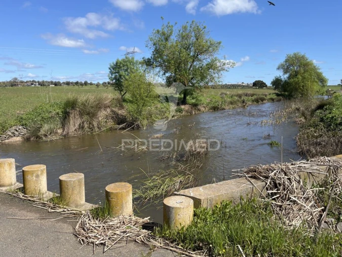 Terreno para Venda em Alfundão e Peroguarda Foto 8