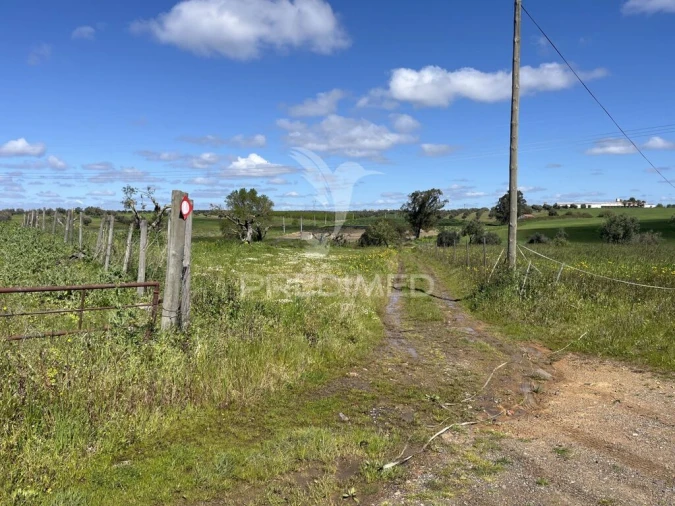 Terreno para Venda em Alfundão e Peroguarda Foto 6