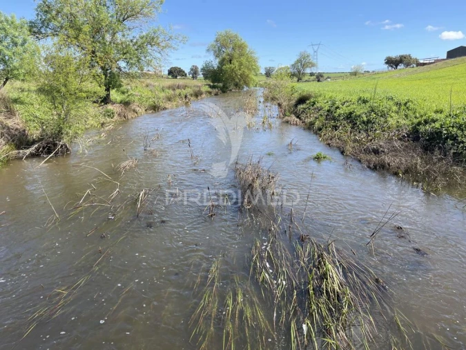 Terreno para Venda em Alfundão e Peroguarda Foto 7