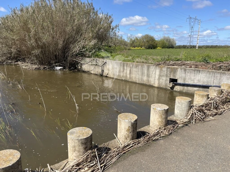 Terreno para Venda em Alfundão e Peroguarda Foto 9