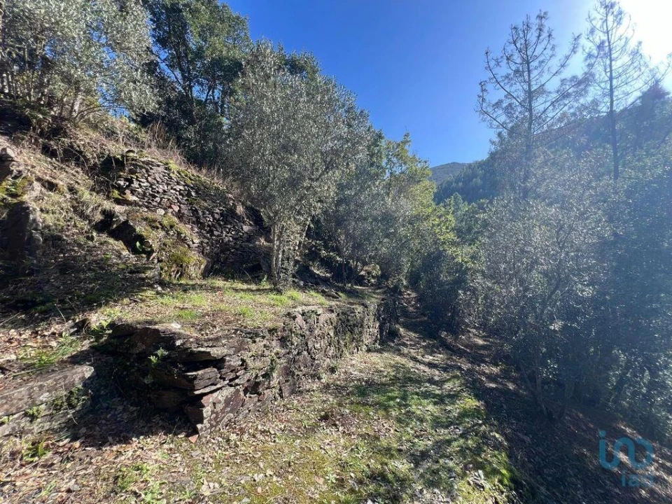 Moradia para Venda em Celavisa Foto 14