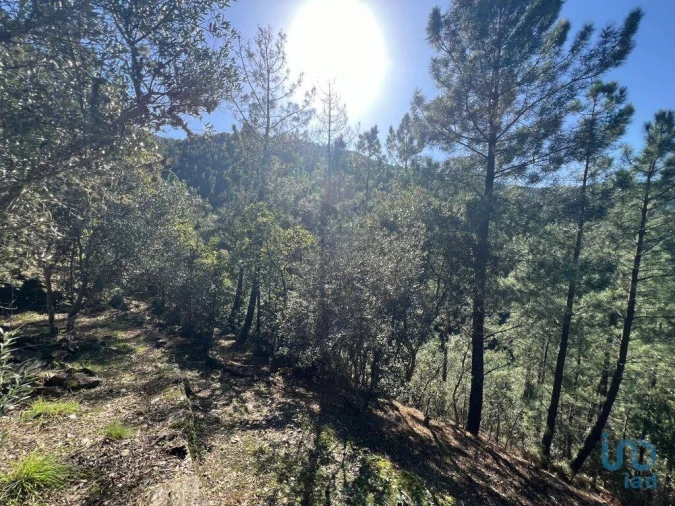 Moradia para Venda em Celavisa Foto 9