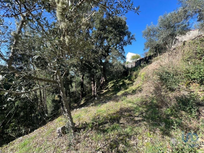 Moradia para Venda em Celavisa Foto 6