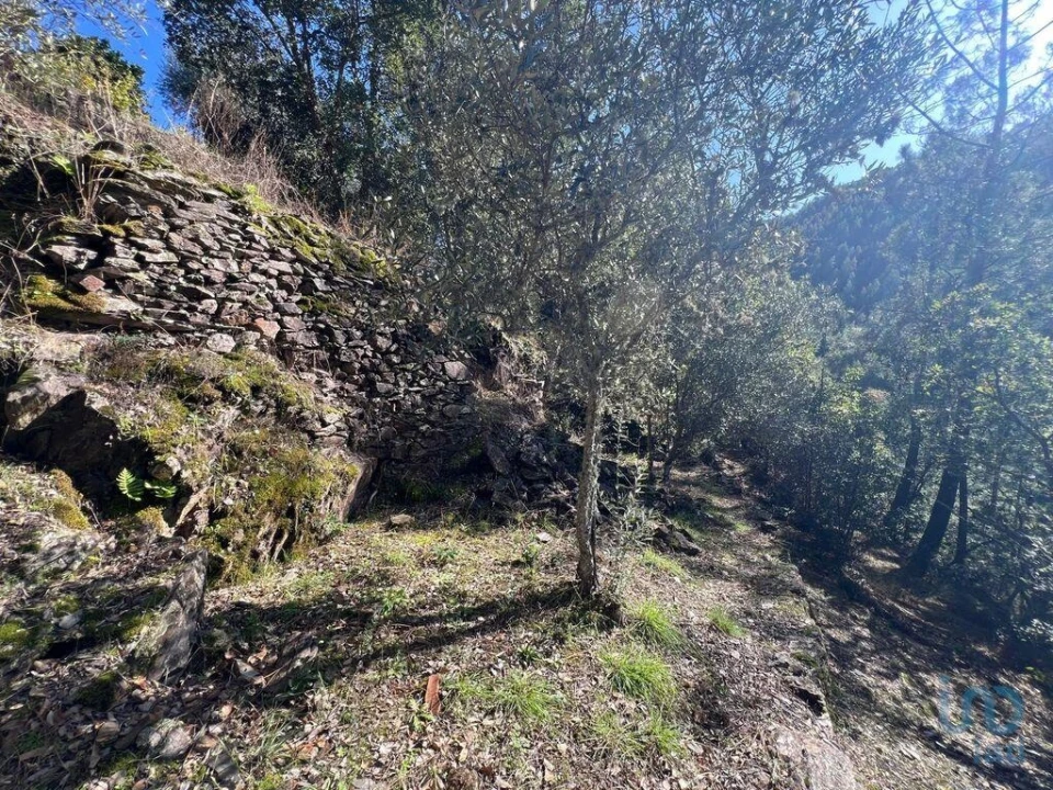 Moradia para Venda em Celavisa Foto 11