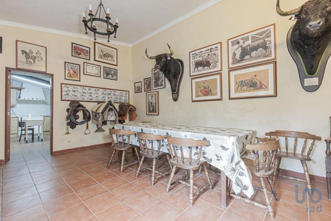 Moradia T6 para Venda em São Bras e São Lourenço Foto 8