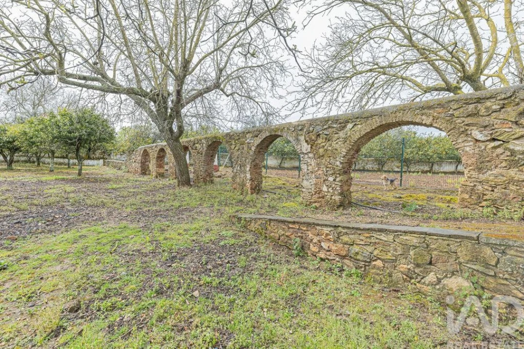 Moradia T6 para Venda em São Bras e São Lourenço Foto 25