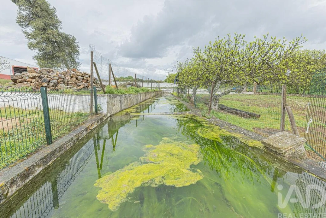 Moradia T6 para Venda em São Bras e São Lourenço Foto 26