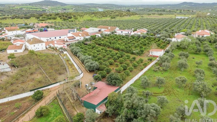 Moradia T6 para Venda em São Bras e São Lourenço Foto 28