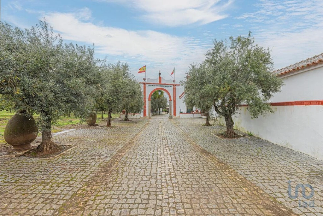 Moradia T6 para Venda em São Bras e São Lourenço Foto 4