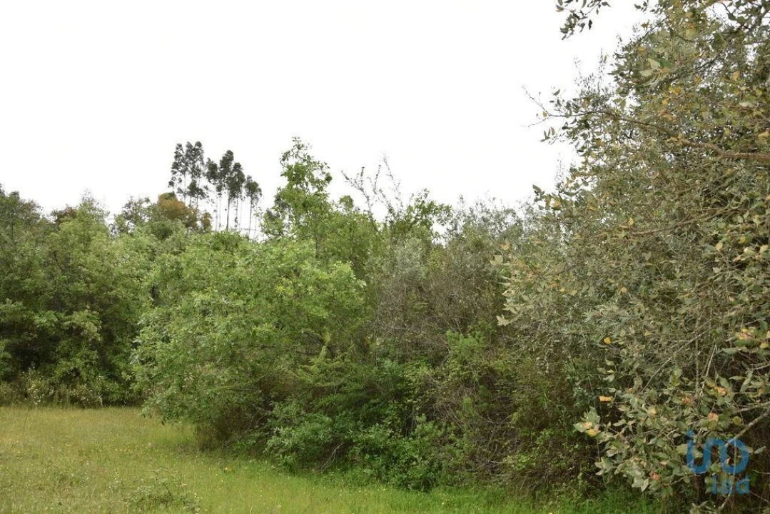 Moradia para Venda em Chãos Foto 12