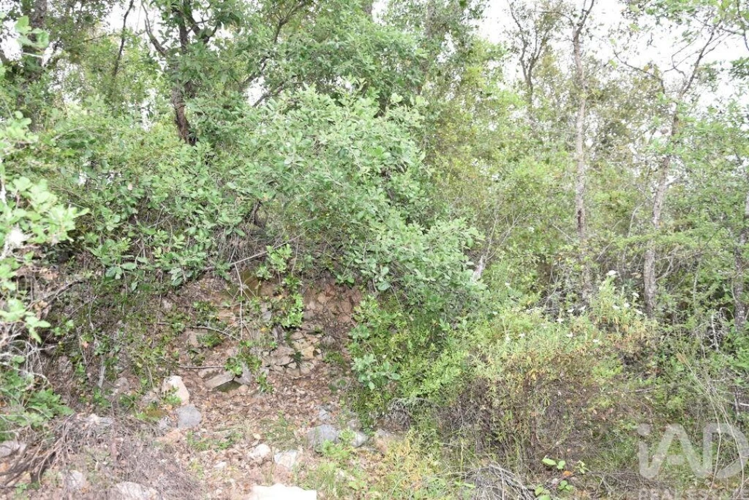 Moradia para Venda em Chãos Foto 16