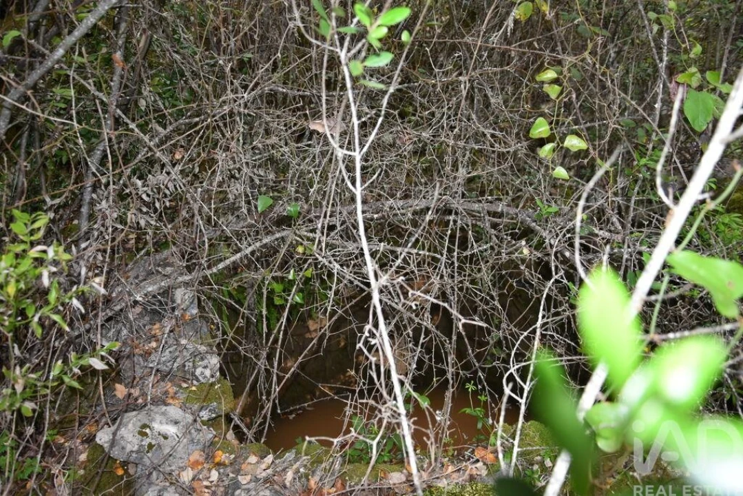 Moradia para Venda em Chãos Foto 15