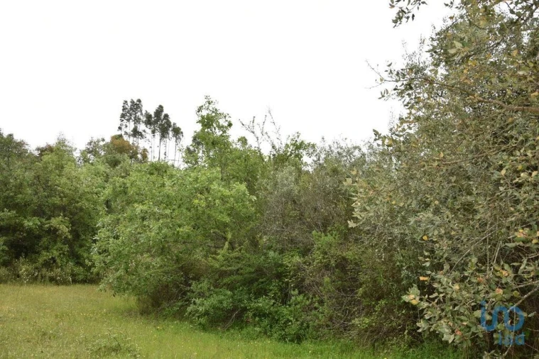 Moradia para Venda em Chãos Foto 12