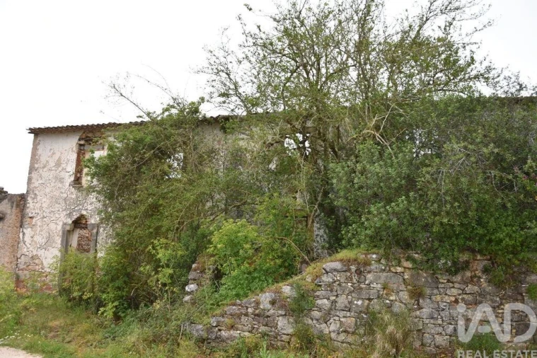 Moradia para Venda em Chãos Foto 22