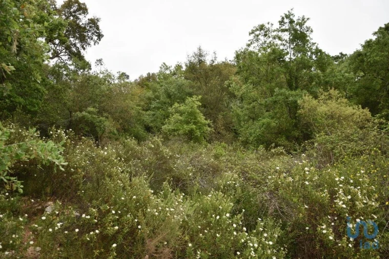 Moradia para Venda em Chãos Foto 13