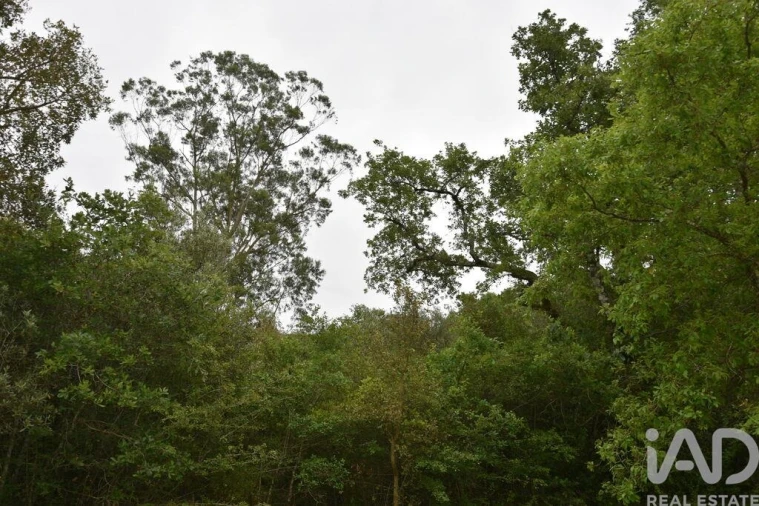 Moradia para Venda em Chãos Foto 19