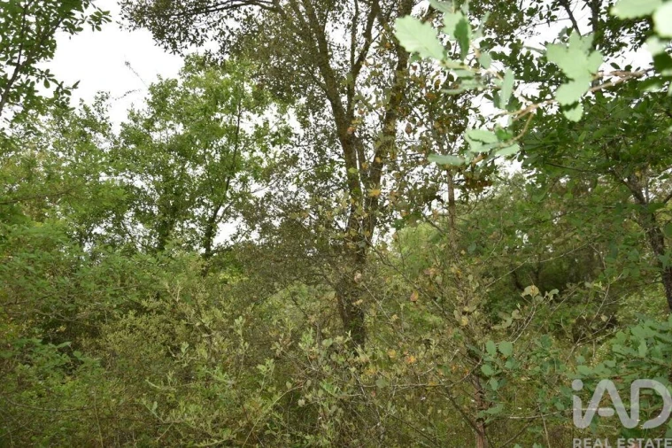 Moradia para Venda em Chãos Foto 17