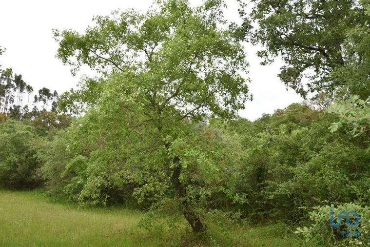 Moradia para Venda em Chãos Foto 11