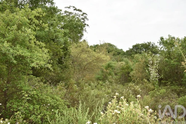 Moradia para Venda em Chãos Foto 18