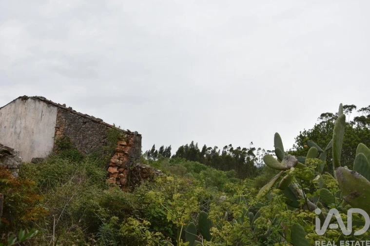 Moradia para Venda em Chãos Foto 21