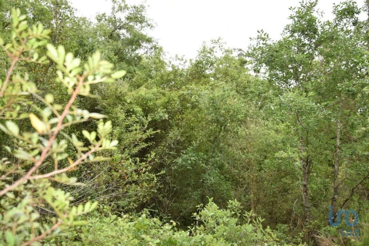 Moradia para Venda em Chãos Foto 14