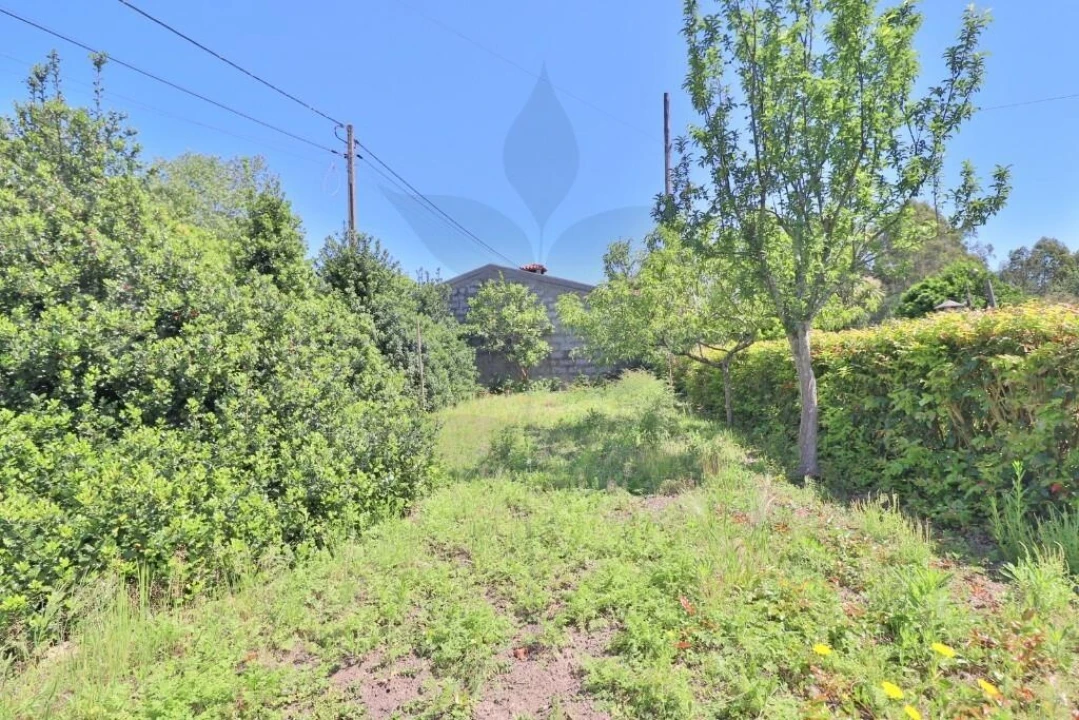 Moradia T4 para Venda em Lago Foto 34