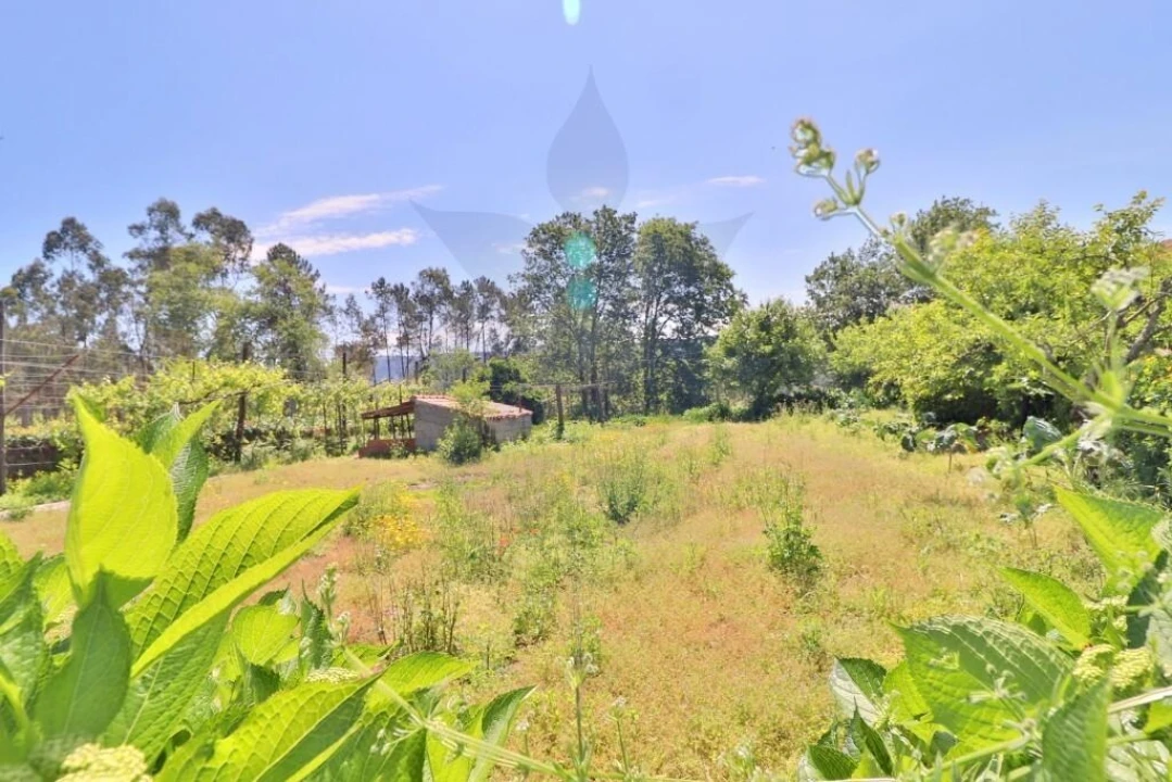 Moradia T4 para Venda em Lago Foto 36