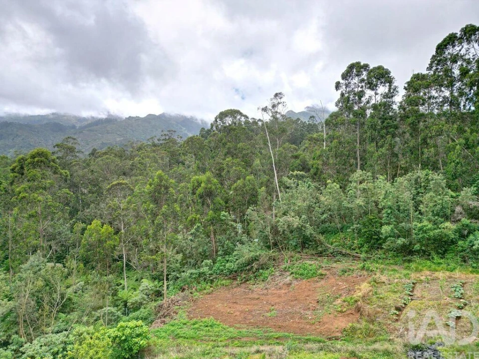 Terreno para Venda em Arco de São Jorge Foto 20