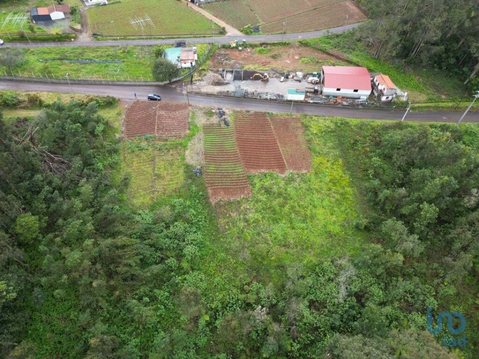 Terreno para Venda em Arco de São Jorge Foto 7