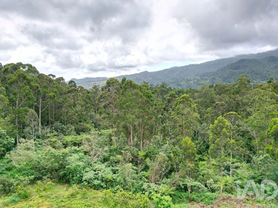 Terreno para Venda em Arco de São Jorge Foto 17