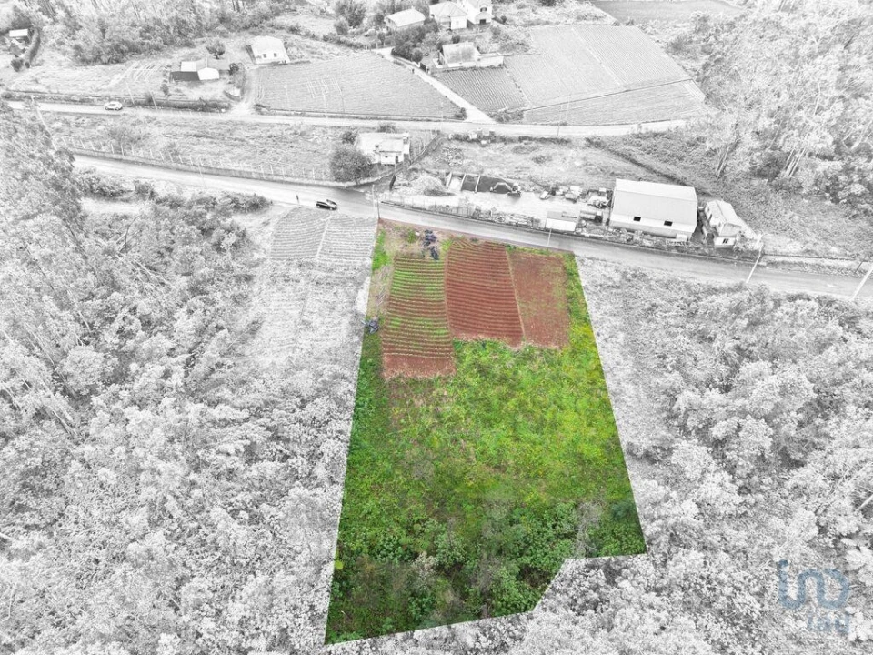 Terreno para Venda em Arco de São Jorge Foto 1