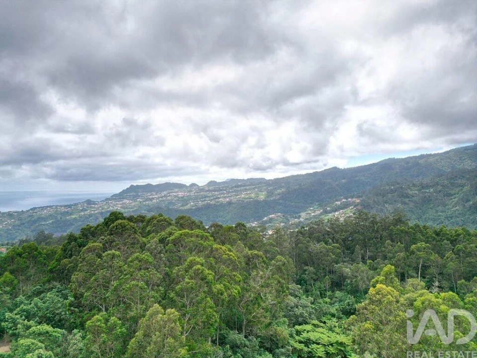 Terreno para Venda em Arco de São Jorge Foto 21