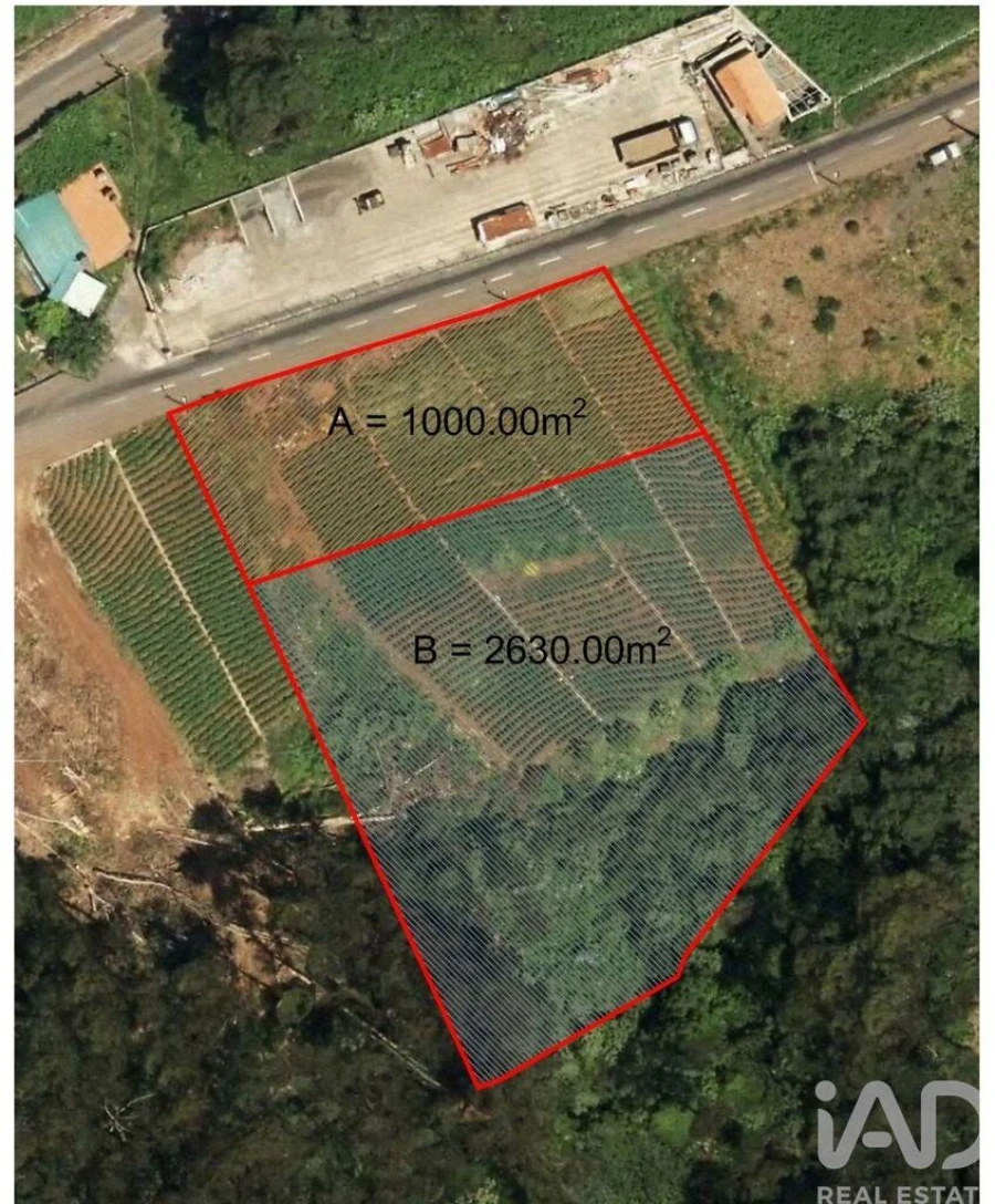 Terreno para Venda em Arco de São Jorge Foto 23