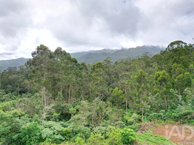Terreno para Venda em Arco de São Jorge Foto 19