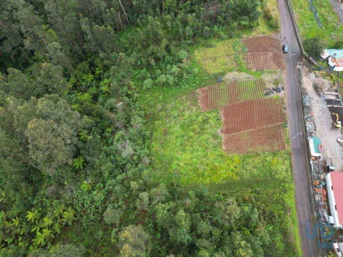 Terreno para Venda em Arco de São Jorge Foto 10