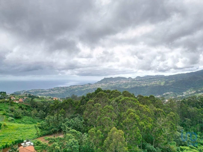 Terreno para Venda em Arco de São Jorge Foto 3