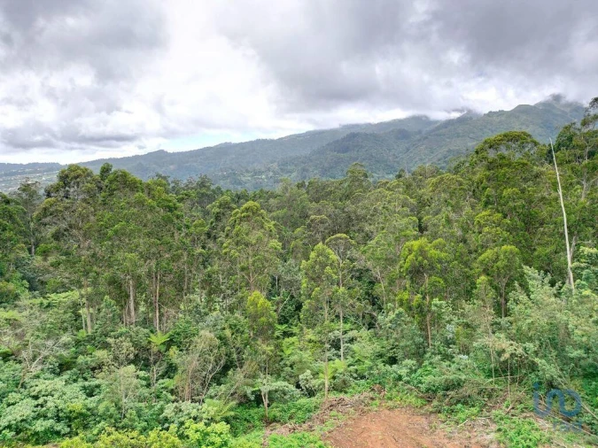 Terreno para Venda em Arco de São Jorge Foto 14