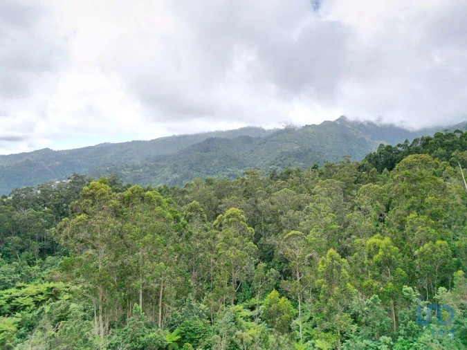 Terreno para Venda em Arco de São Jorge Foto 15