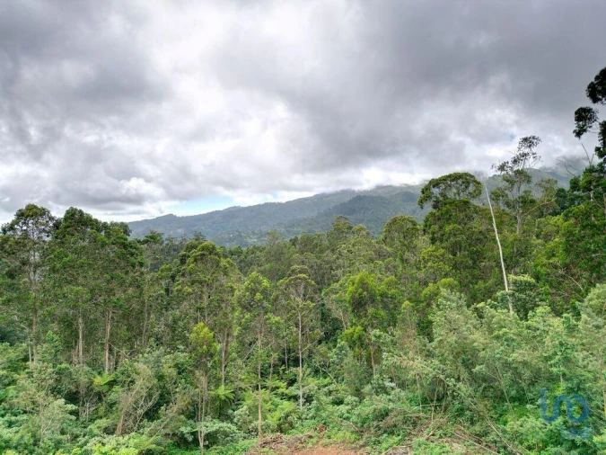 Terreno para Venda em Arco de São Jorge Foto 13