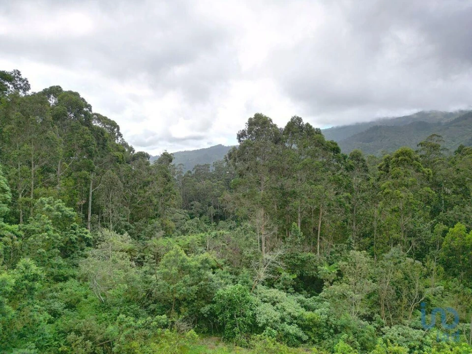 Terreno para Venda em Arco de São Jorge Foto 11