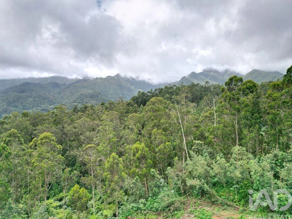 Terreno para Venda em Arco de São Jorge Foto 18