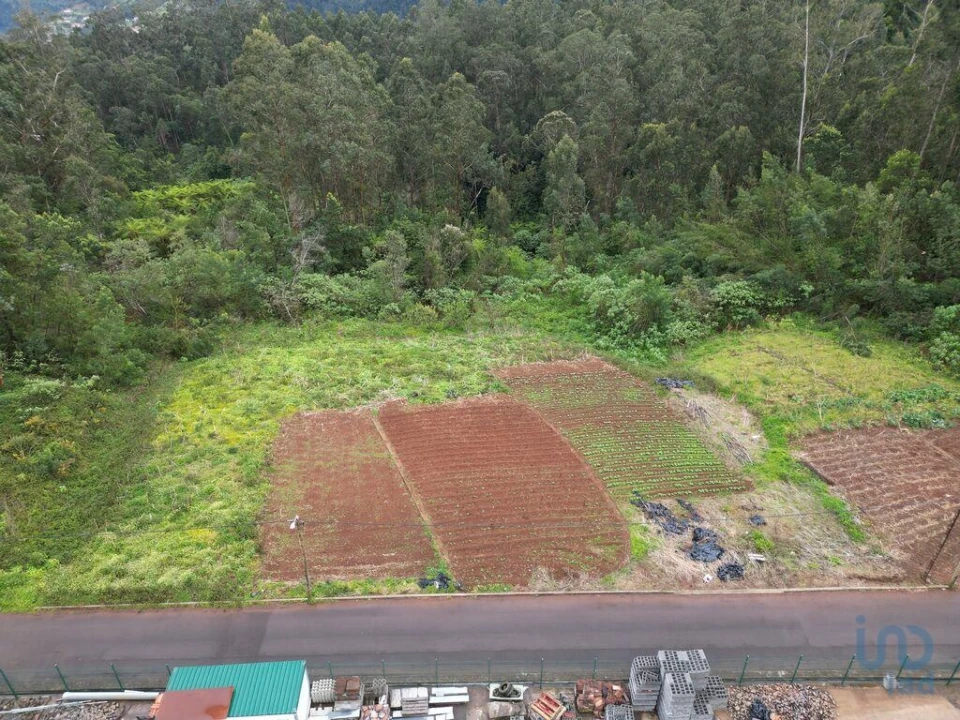 Terreno para Venda em Arco de São Jorge Foto 4