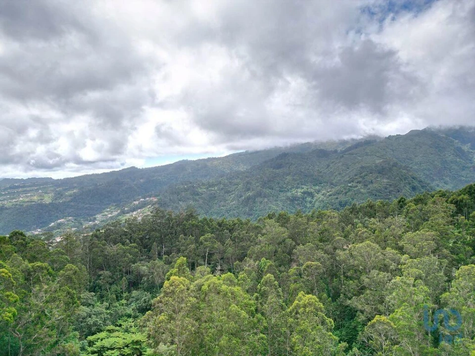 Terreno para Venda em Arco de São Jorge Foto 12