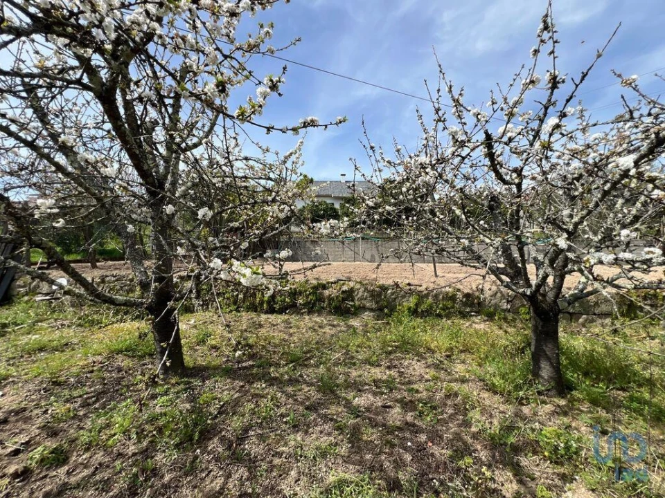 Moradia T5 para Venda em Lajeosa do Dão Foto 14