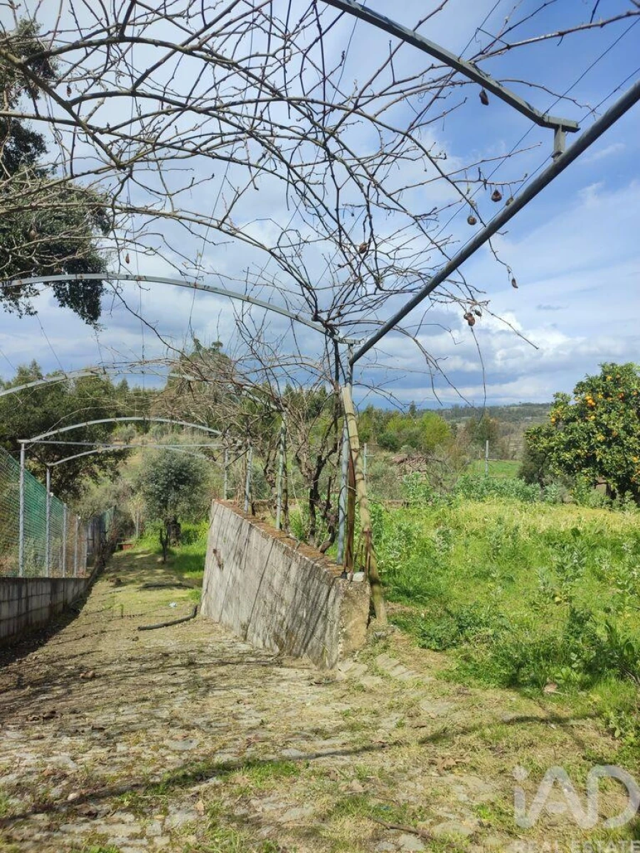 Moradia T5 para Venda em Covas e Vila Nova de Oliveirinha Foto 18